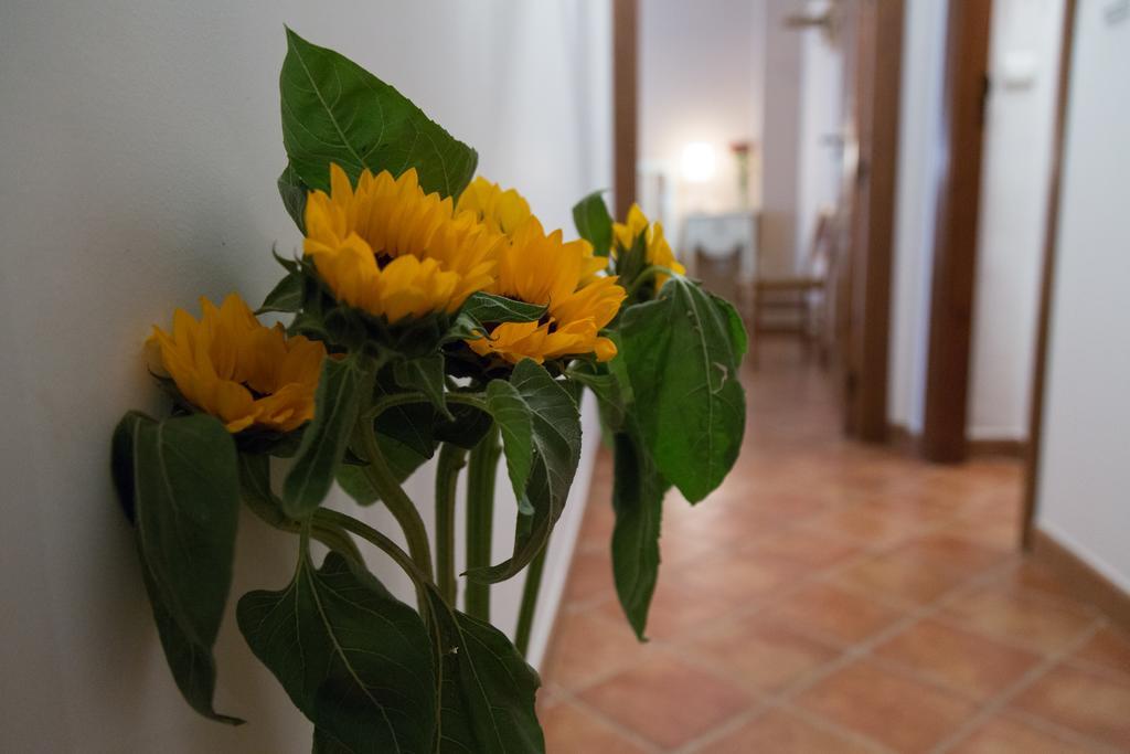 Migolla Casa de vacances Osuna